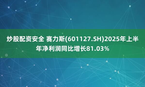 炒股配资安全 赛力斯(601127.SH)2025年上半年净利润同比增长81.03%