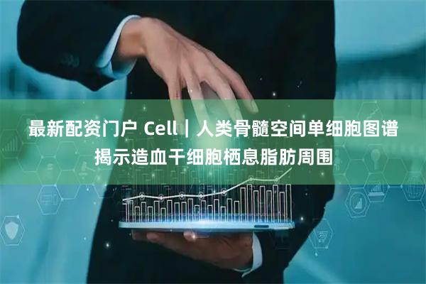 最新配资门户 Cell｜人类骨髓空间单细胞图谱揭示造血干细胞栖息脂肪周围